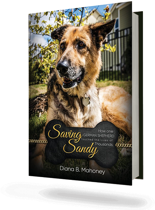 Published book cover 12