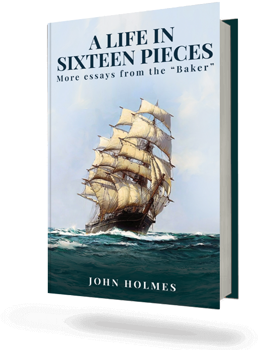 Published book cover 2